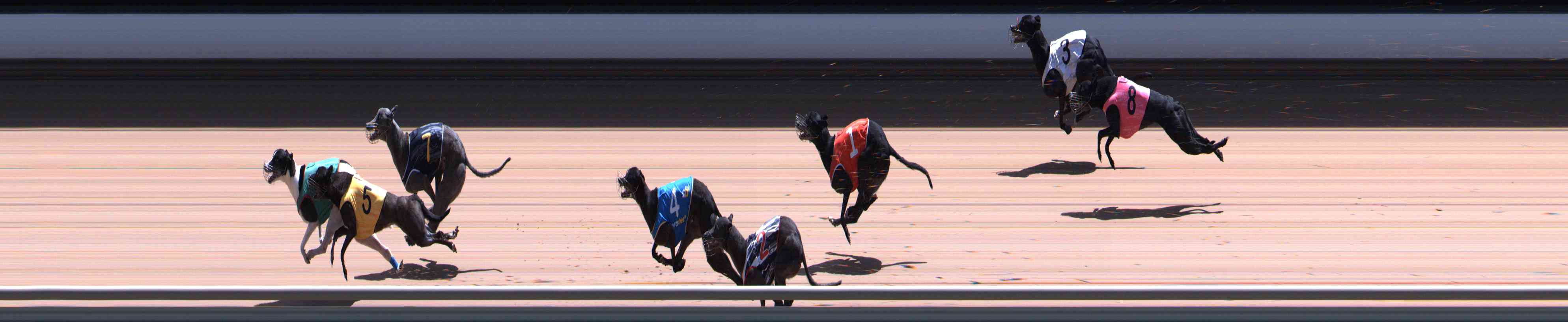 Race result finish photo